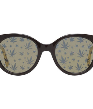 Police Brown Acetate Sunglasses