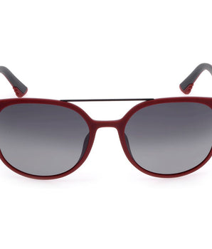 Police Brown Acetate Sunglasses