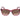 Police Red Acetate Sunglasses
