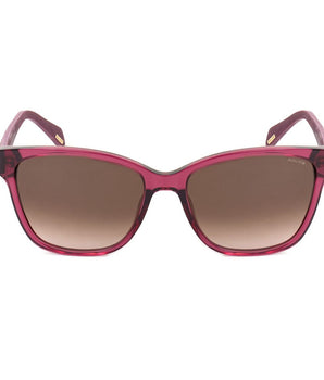 Police Red Acetate Sunglasses