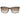 Gant Brown Acetate Sunglasses