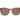 Gant Brown Acetate Sunglasses
