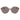 Longchamp Multicolor Acetate Sunglasses