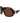 Longchamp Brown Acetate Sunglasses