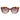 Longchamp Brown Acetate Sunglasses