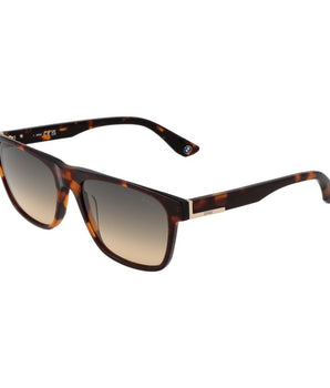 BMW Brown Plastic Sunglasses