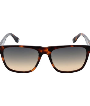 BMW Brown Plastic Sunglasses