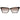 Ana Hickmann Brown Women Sunglasses