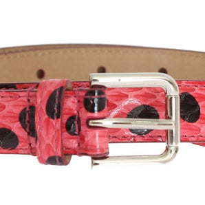 Dolce &amp; Gabbana Polka Dot Snakeskin Belt with Silver Buckle