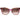 Missoni Multicolor Acetate Sunglasses