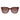 Hugo Boss Red Acetate Sunglasses