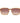 Hackett Brown Acetate Sunglasses