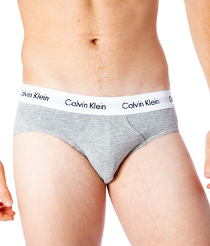 Calvin Klein Underwear Gray Cotton Briefs