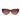 Lacoste Brown Acetate Sunglasses