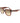 Lacoste Brown Acetate Sunglasses