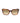 Lacoste Brown Acetate Sunglasses