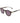 Scotch & Soda Brown Acetate Sunglasses