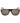 Lozza Brown Injected Sunglasses
