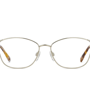 Pierre Cardin Bronze Metal Glasses (Frames)