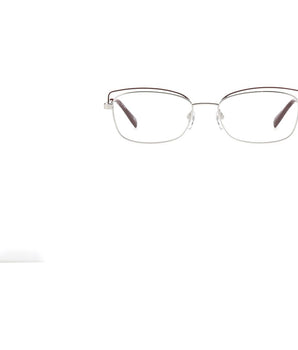 Pierre Cardin Bicolor Metal Glasses (Frames)