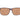 Helly Hansen Brown Plastic Sunglasses