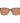 Helly Hansen Brown Plastic Sunglasses