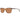 Helly Hansen Brown Plastic Sunglasses