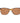 Helly Hansen Brown Plastic Sunglasses
