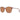 Helly Hansen Brown Plastic Sunglasses