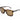 Adidas Brown Acetate Sunglasses
