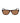 Converse Brown Acetate Sunglasses