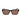 Converse Brown Acetate Sunglasses