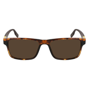 Converse Brown Acetate Sunglasses