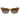 Ferragamo Brown Injected Sunglasses