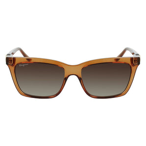 Ferragamo Brown Injected Sunglasses