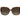 Kate Spade Brown Acetate Sunglasses