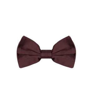 Dolce &amp; Gabbana Burgundy Silk Bowtie