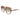Longchamp Brown Acetate Sunglasses