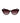 Lacoste Brown Injected Sunglasses