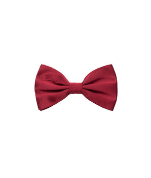 Dolce &amp; Gabbana Red Silk Bowtie