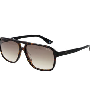 BMW Brown Acetate Sunglasses