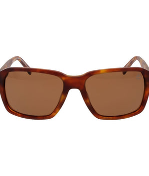 Timberland Brown Acetate Sunglasses