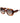 Scotch & Soda Brown Acetate Sunglasses