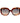 Scotch & Soda Brown Acetate Sunglasses