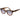 Scotch & Soda Brown Acetate Sunglasses