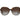Polaroid Brown Plastic Sunglasses