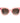 Kate Spade Multicolored Acetate Sunglasses