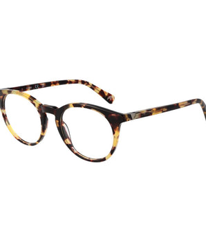 Guess Brown Acetate Glasses (Frames)