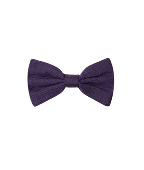 Dolce &amp; Gabbana Purple Silk Bowtie