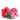 Dolce & Gabbana Multicolor Floral Applique Detail Tie Belt